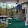 Stand com o projeto