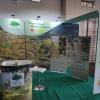Stand com o projeto